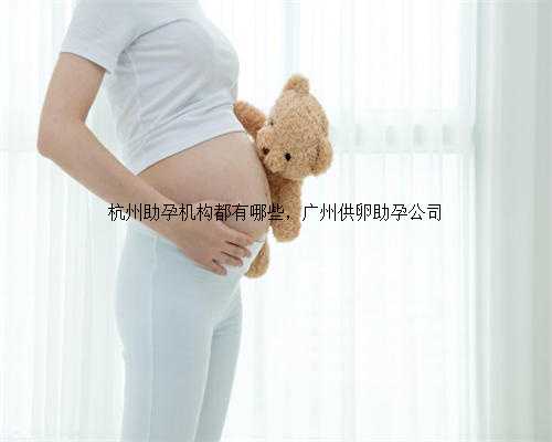 杭州助孕机构都有哪些，广州